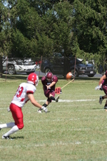 Enlarge photo 222