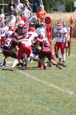 Enlarge photo 224
