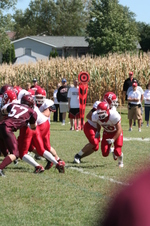 Enlarge photo 229