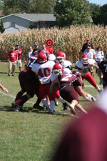Enlarge photo 230