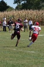 Enlarge photo 237