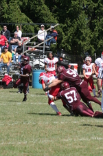 Enlarge photo 254