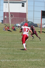 Enlarge photo 259