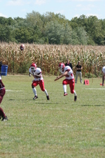Enlarge photo 265