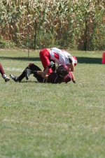 Enlarge photo 277