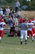 Enlarge photo 282