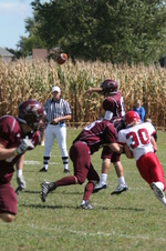 Enlarge photo 294