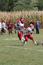 Enlarge photo 310