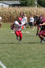 Enlarge photo 313