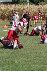 Enlarge photo 314