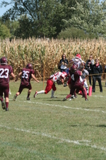 Enlarge photo 320