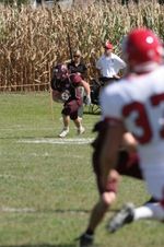 Enlarge photo 349