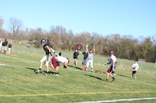Enlarge photo 46