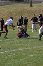 Enlarge photo 116