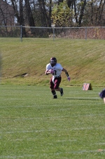 Enlarge photo 129