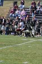 Enlarge photo 134