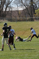 Enlarge photo 153