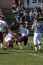 Enlarge photo 230