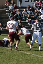 Enlarge photo 231