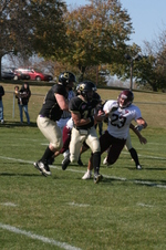 Enlarge photo 245