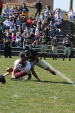 Enlarge photo 258