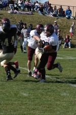 Enlarge photo 260