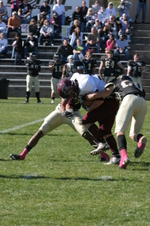 Enlarge photo 262
