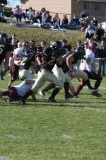 Enlarge photo 395
