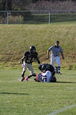 Enlarge photo 431
