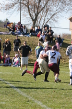 Enlarge photo 452