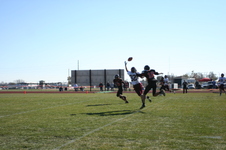 Enlarge photo 451