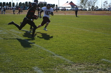 Enlarge photo 459