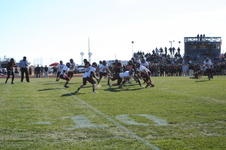 Enlarge photo 463