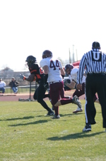 Enlarge photo 51