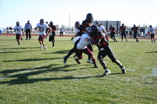 Enlarge photo 464