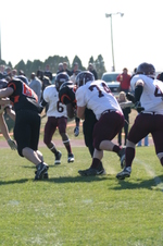 Enlarge photo 67