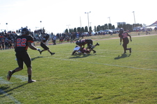 Enlarge photo 473