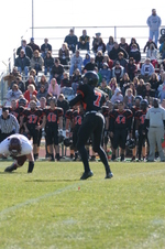 Enlarge photo 103