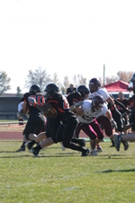 Enlarge photo 105