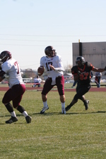 Enlarge photo 140