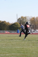 Enlarge photo 143