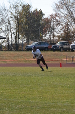 Enlarge photo 203