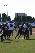 Enlarge photo 204