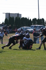 Enlarge photo 205