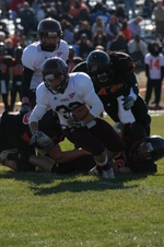 Enlarge photo 216
