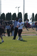 Enlarge photo 234