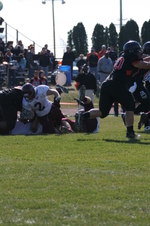 Enlarge photo 237