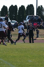Enlarge photo 242