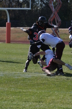 Enlarge photo 271