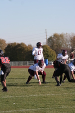 Enlarge photo 348